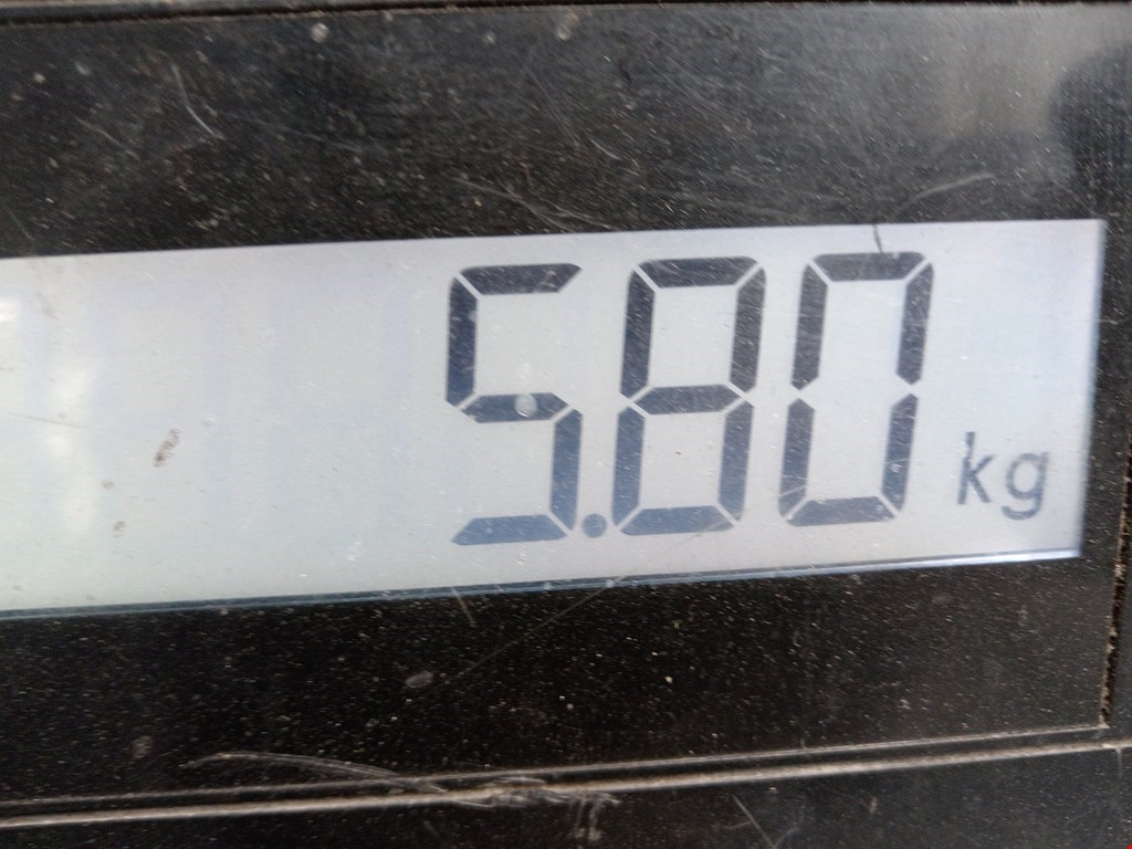 Ступица передняя левая OPEL Omega B 1994-2004