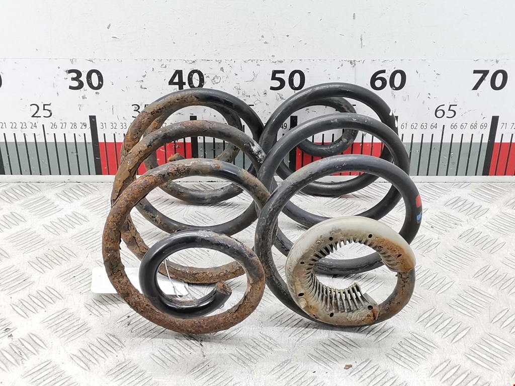 Пружина задняя левая/правая RENAULT Modus 2004-2012