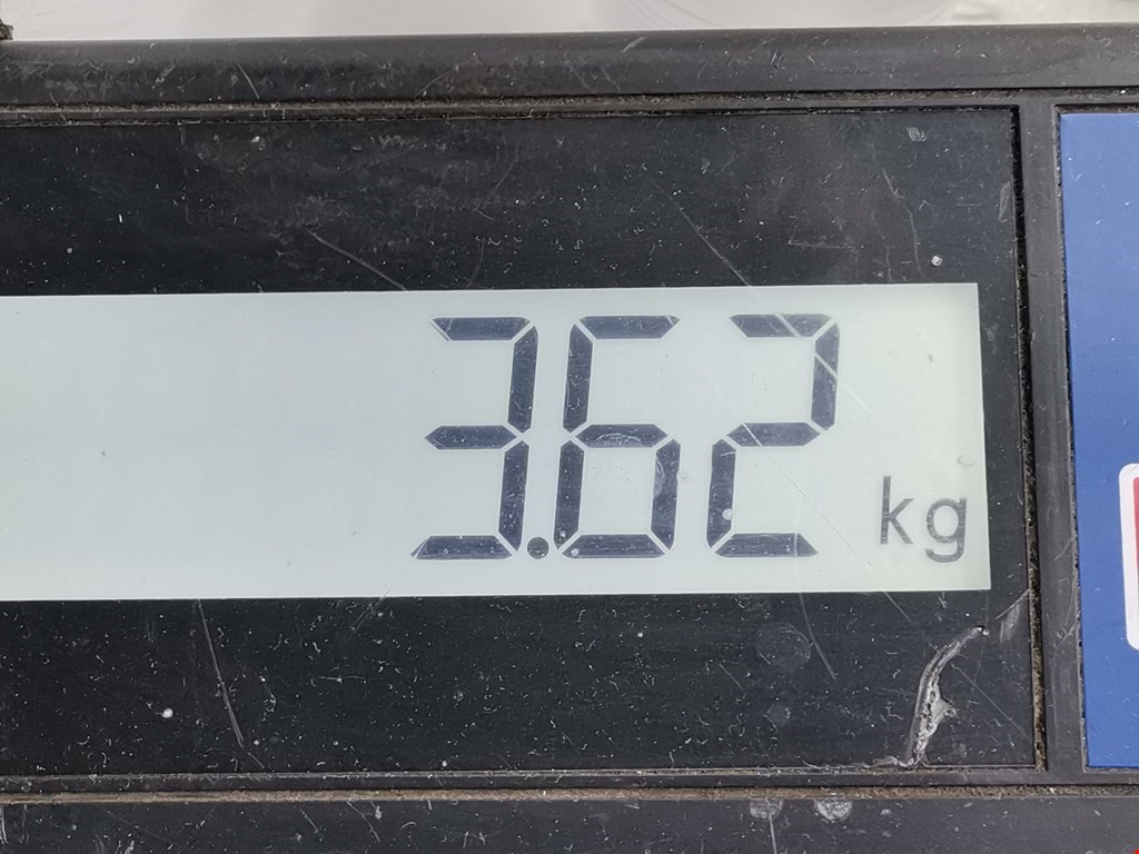 Пружина задняя левая/правая RENAULT Modus 2004-2012