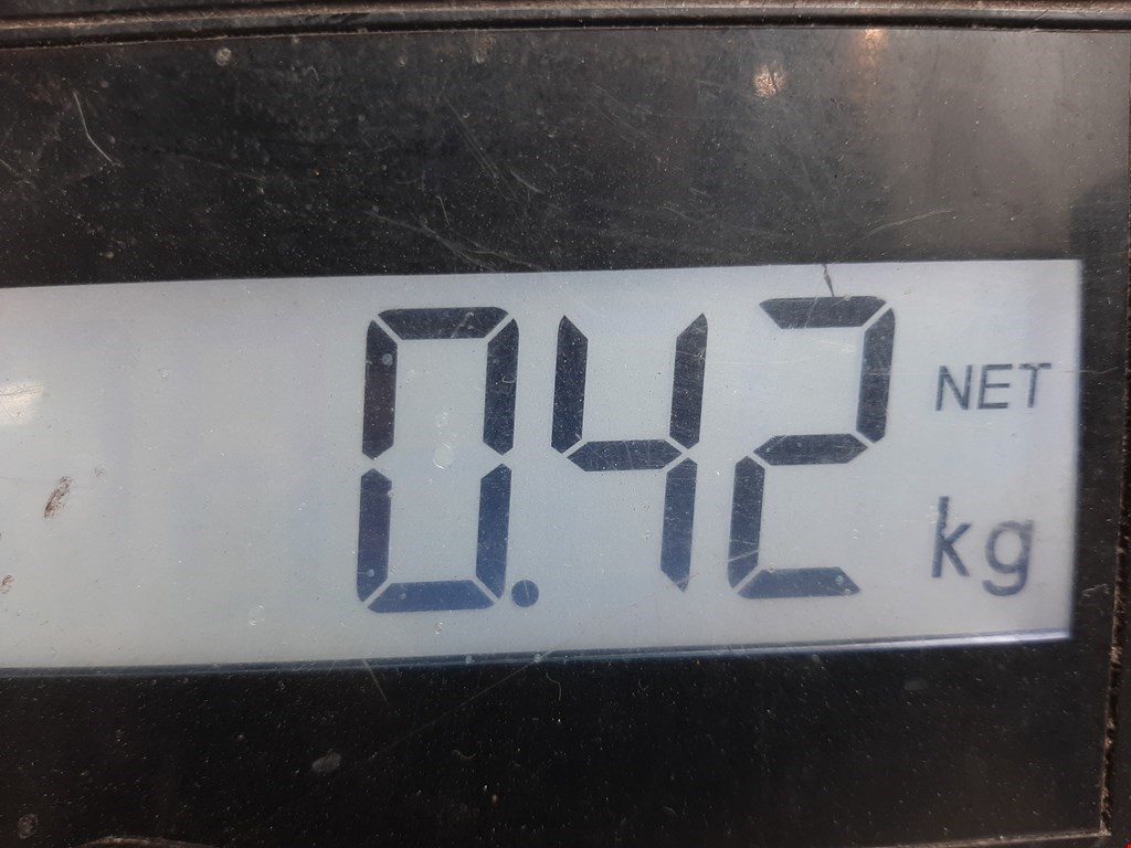 Сигнал звуковой (гудок клаксон) OPEL Omega B 1994-2004