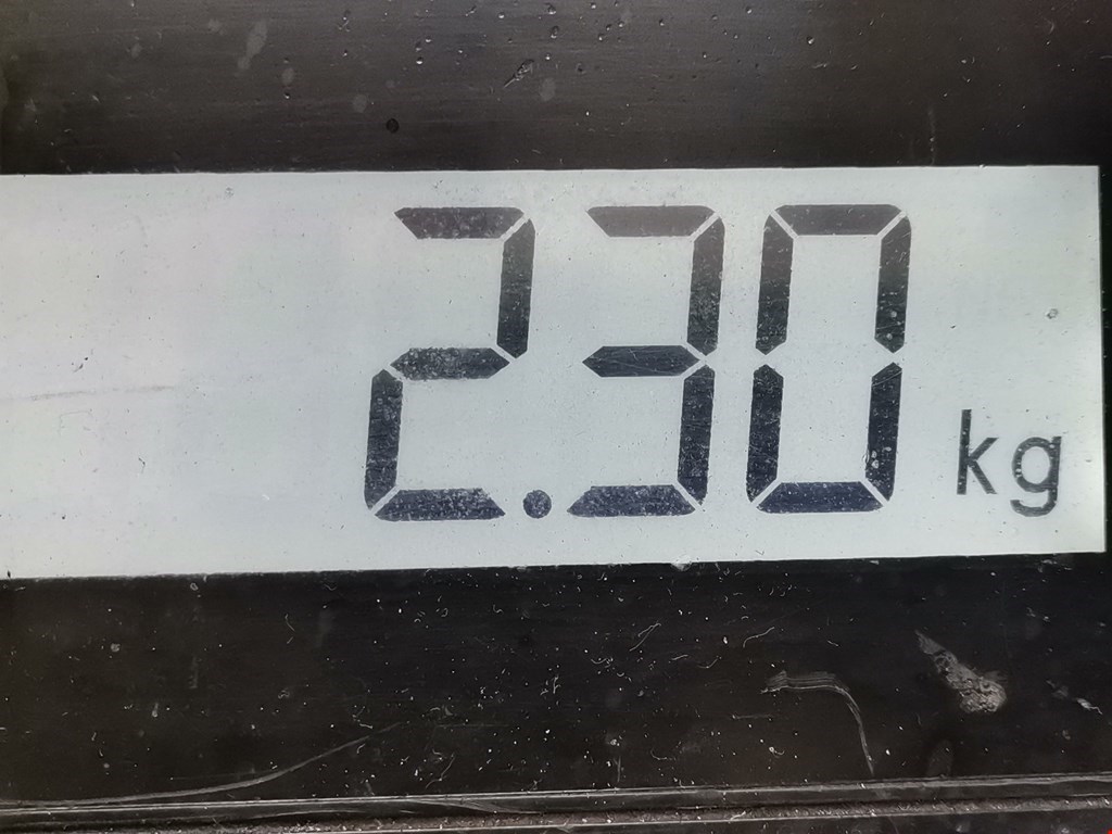 Коллектор впускной FORD C-MAX 2003-2010