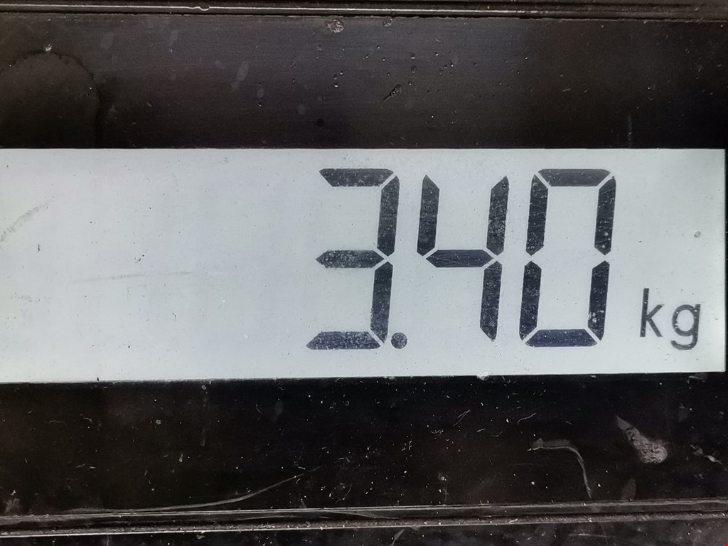 Коллектор выпускной OPEL Signum 2003-2008