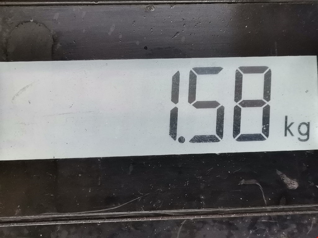 Коллектор впускной OPEL Signum 2003-2008