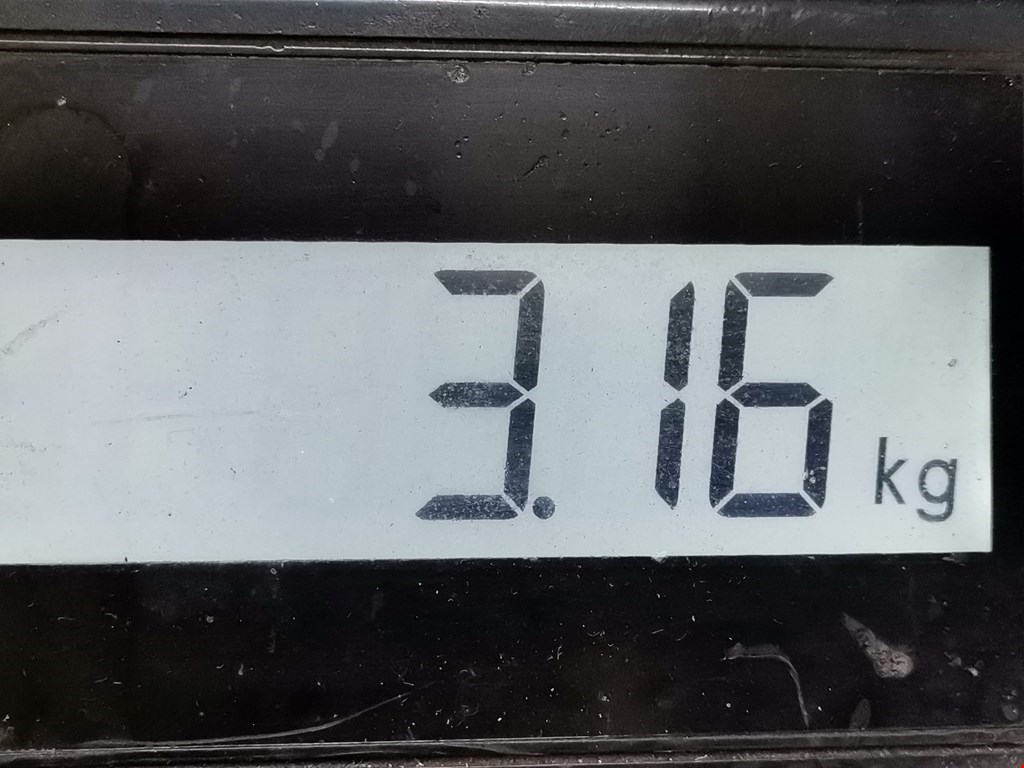 Коллектор выпускной OPEL Signum 2003-2008