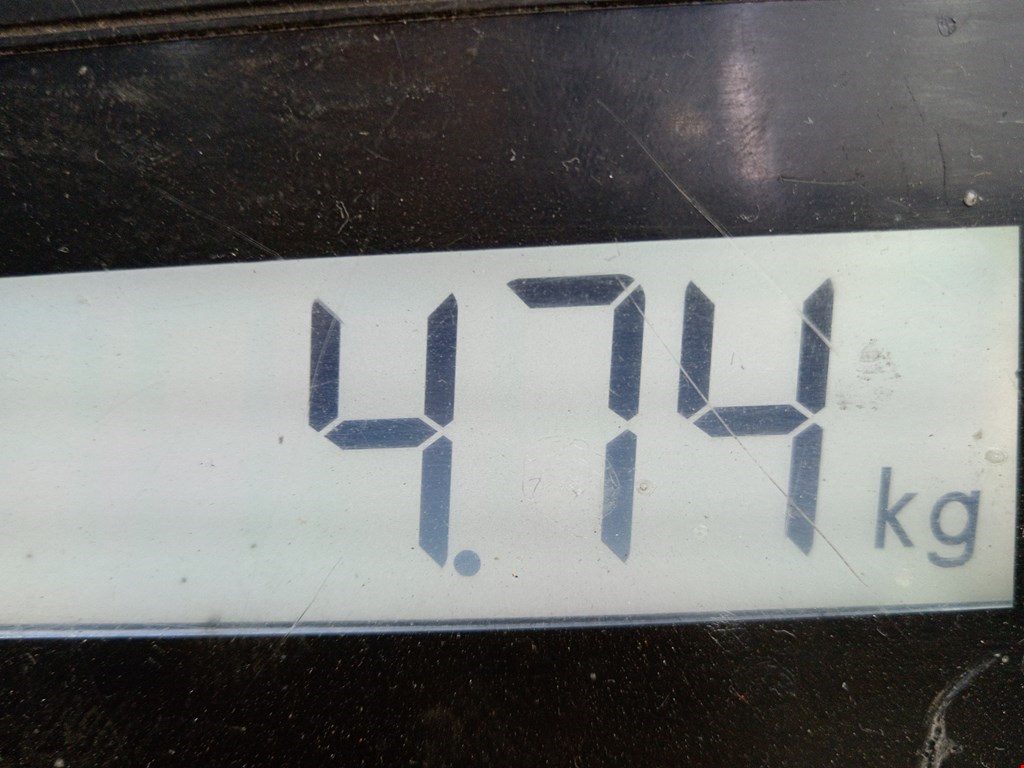 Ступица задняя правая CITROEN C4 I 2004-2014