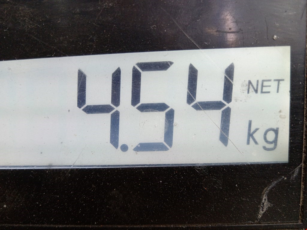 Амортизатор задний левый VOLKSWAGEN Passat B5 1997-2005