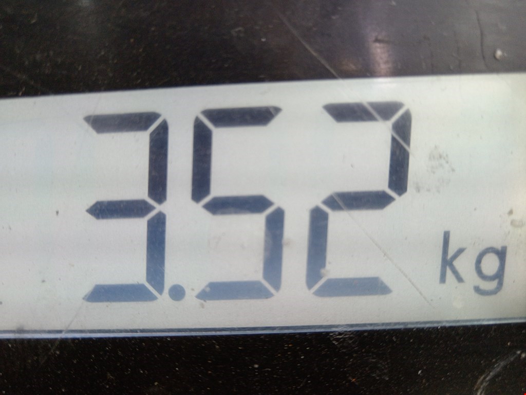 Амортизатор задний правый RENAULT Megane II 2002-2009