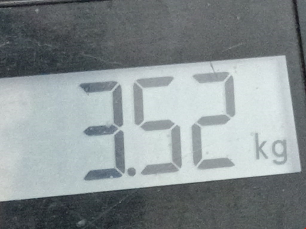 Кулиса (селектор) АКПП/МКПП в салоне VOLKSWAGEN Passat B6 2005-2011