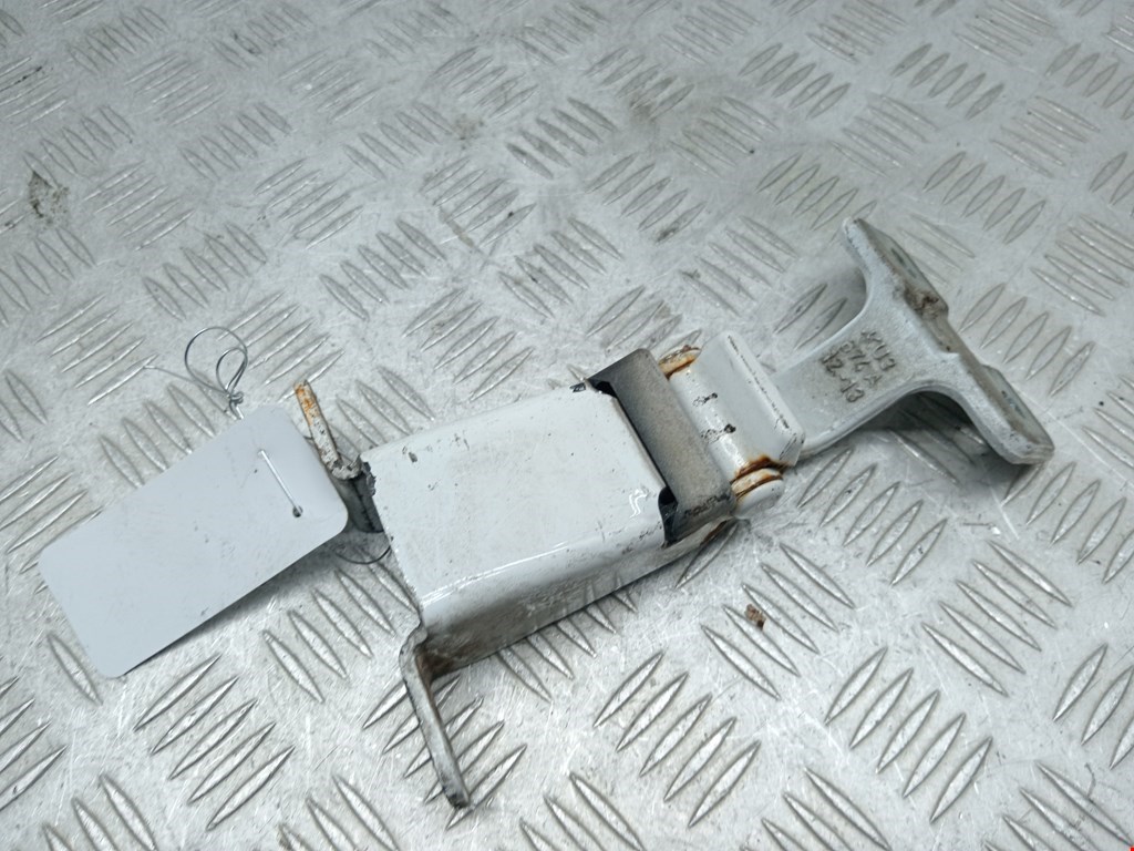 Петля двери распашной Renault Kangoo 2 (W/FW) (2007-2021)