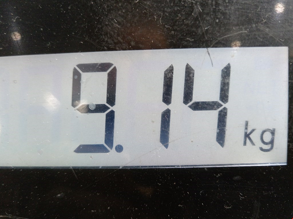 Амортизатор передний правый TOYOTA RAV 4 XA20 2000-2005