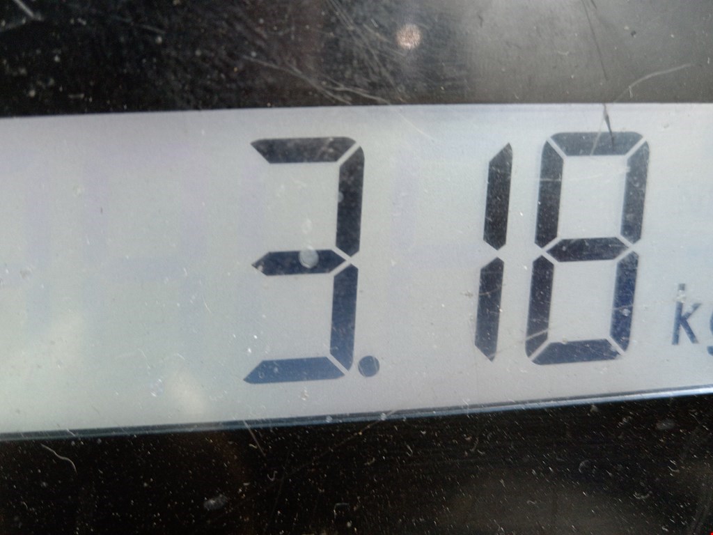 Подушка безопасности пассажирская (в торпедо) HYUNDAI Santa Fe SM/ Classic 2000-2012