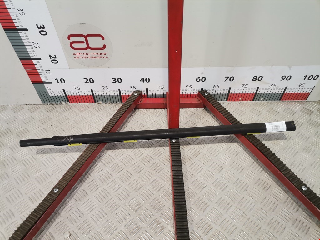 Накладка декоративная (молдинг) стекла двери передней правой Hyundai Santa Fe 1 (SM) (2000-2006)