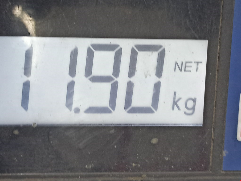 Амортизатор передний левый MERCEDES-BENZ CLS-Class C219 2004-2010