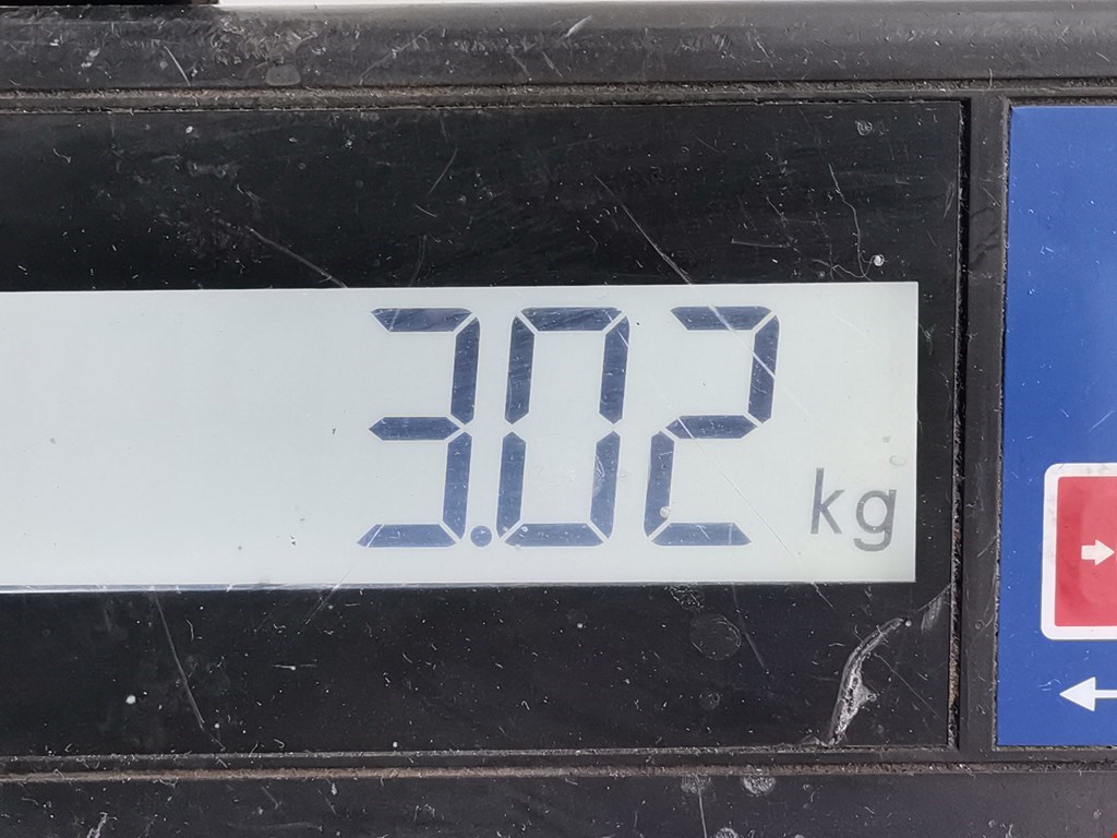 Амортизатор задний левый RENAULT Kangoo 2008-2021