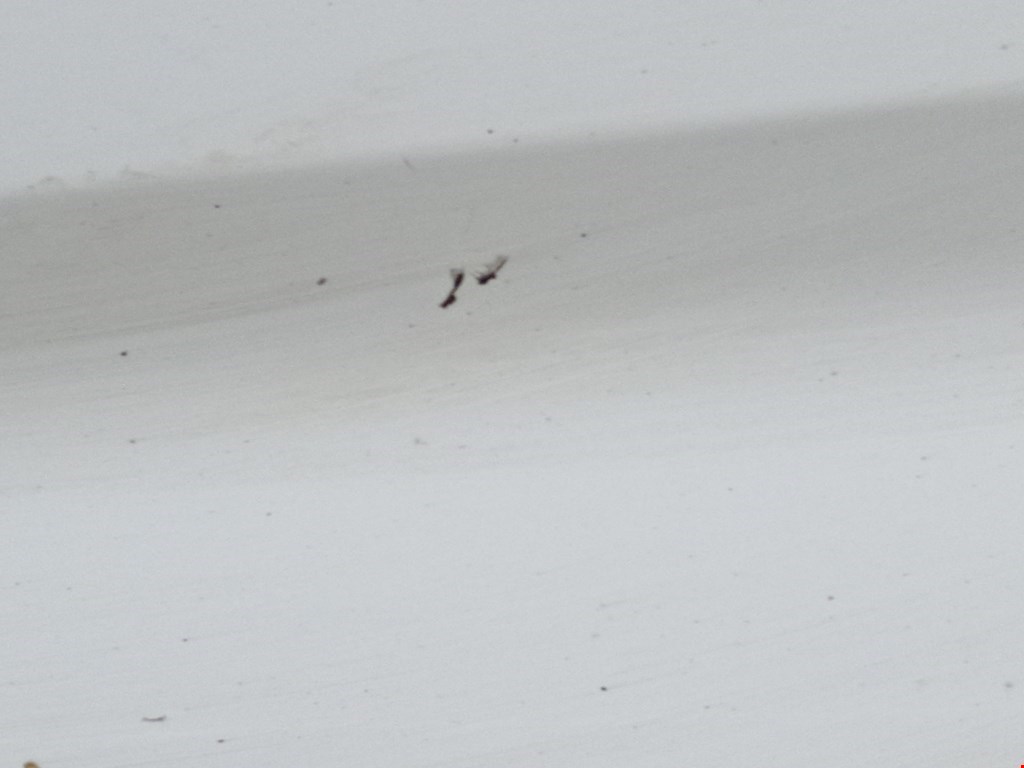 Дверь задняя правая HYUNDAI i40 2011-2019