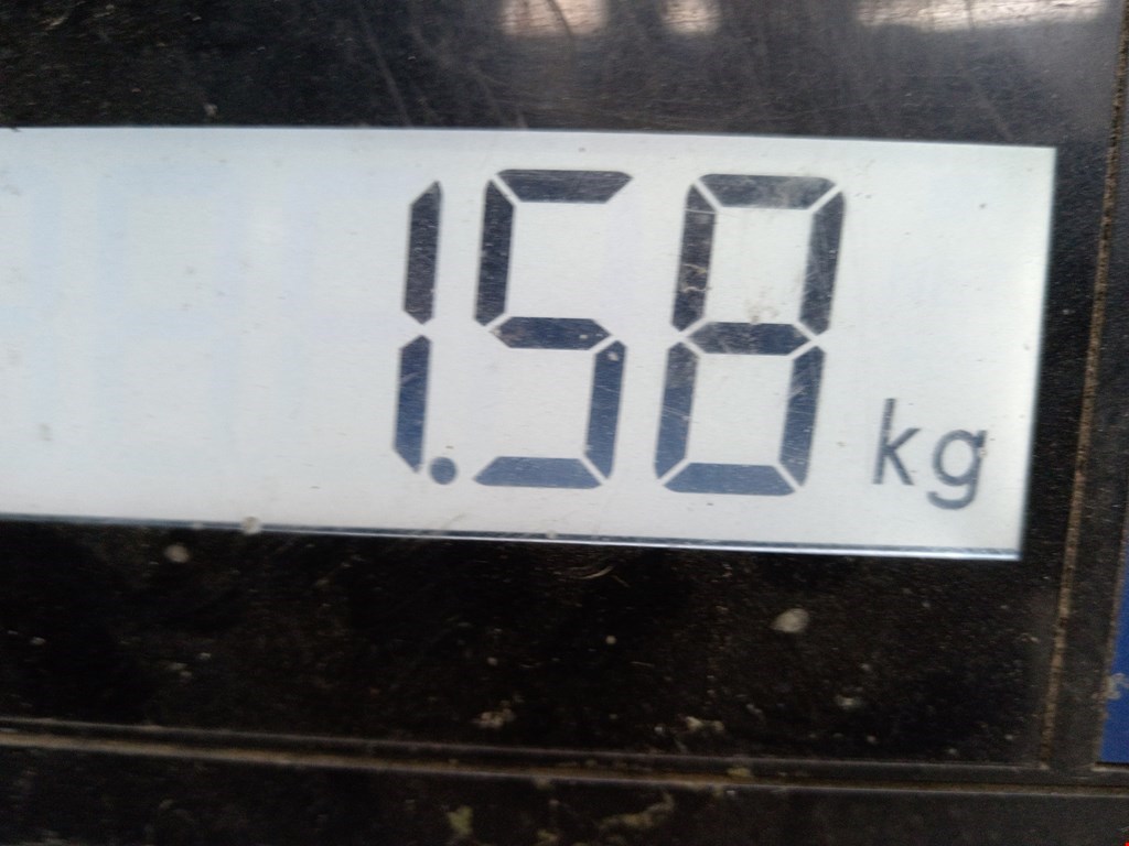 Локер (подкрылок) передний левый MERCEDES-BENZ C-Class C-klasse W204 2007-2015