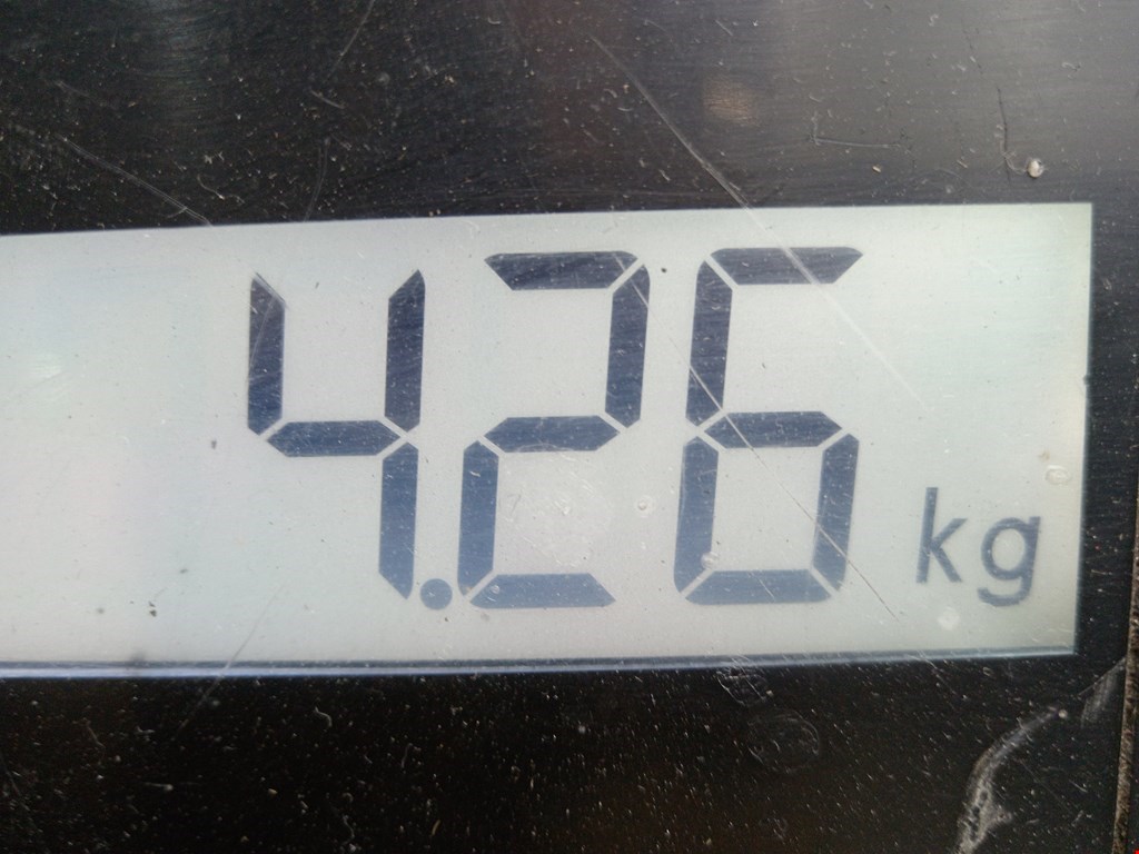 Амортизатор задний левый AUDI A3 8P 2003-2013