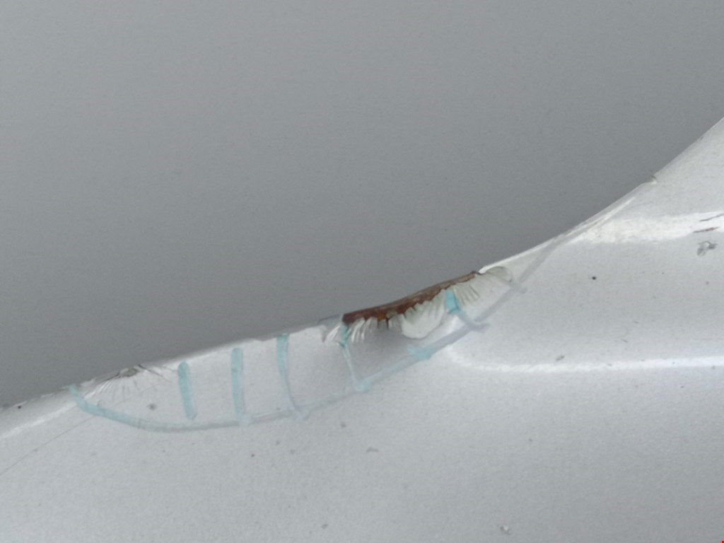 Капот RENAULT Safrane 1992-2000