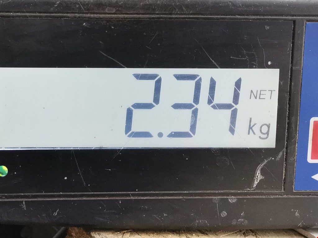 Рычаг задний правый KIA Cee'd II 2012-2018