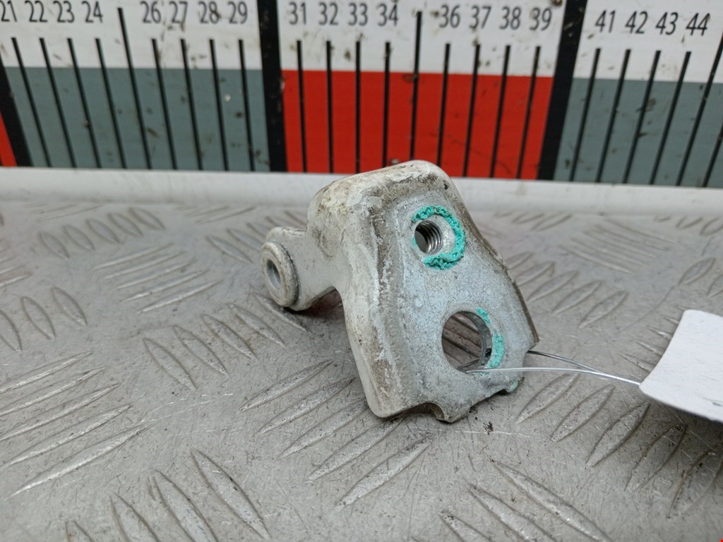 Петля двери задней левой Skoda Fabia 2 (5J) (2007-2014)