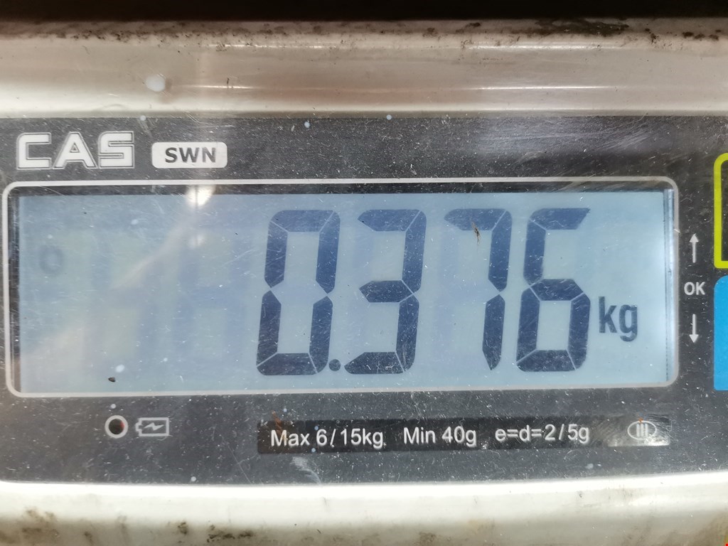 Натяжитель ремня VOLKSWAGEN Passat B5 1997-2005