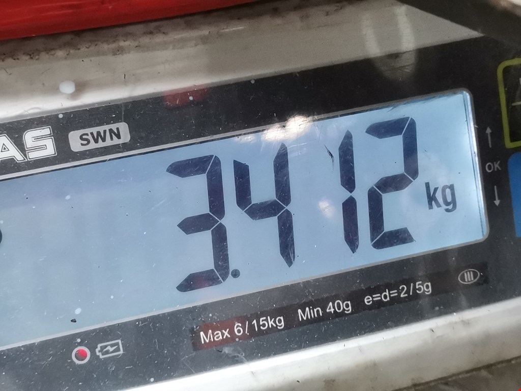 Рычаг передний правый OPEL Astra G 1998-2005