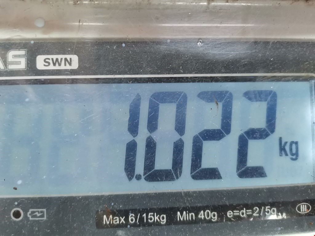 Корпус масляного фильтра SEAT Toledo 1998-2004