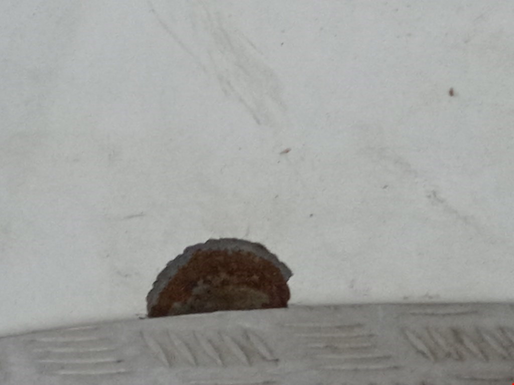 Капот RENAULT Kangoo 1997-2008