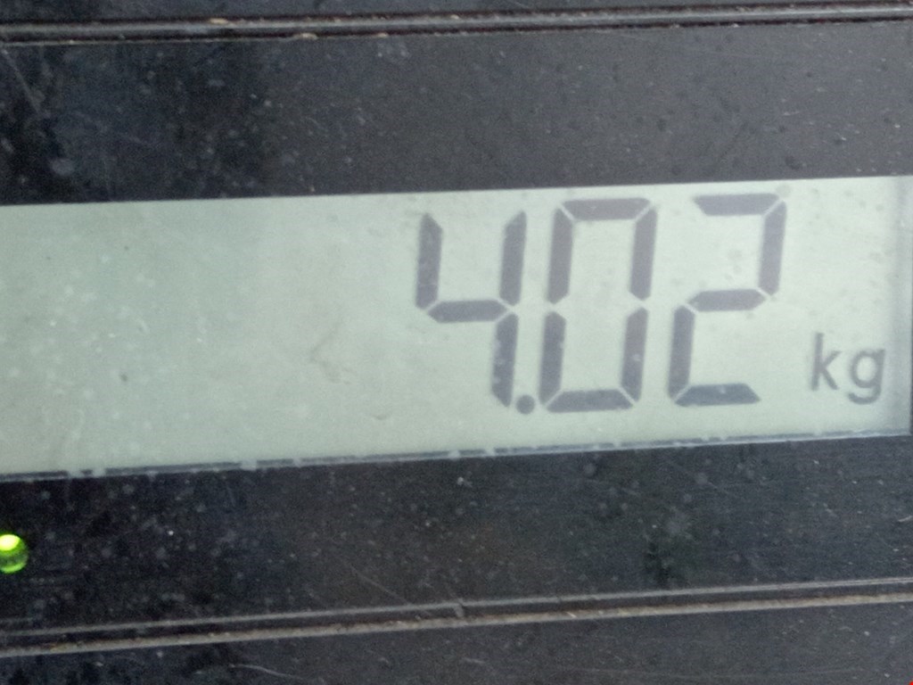 Обшивка потолка BMW X5 E53 1999-2006