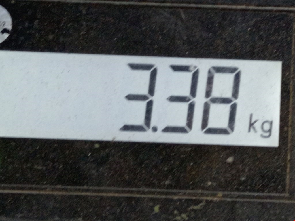 Стабилизатор передний (поперечной устойчивости подвески) SKODA Fabia MK2 5J 2007-2014