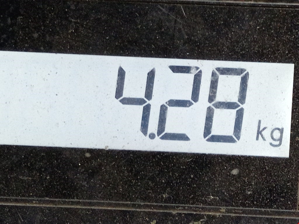 Стабилизатор передний (поперечной устойчивости подвески) HYUNDAI i40 2011-2019