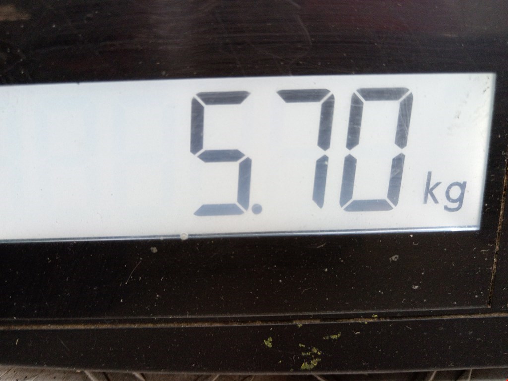 Усилитель переднего бампера (передний) VOLKSWAGEN Golf IV 1997-2003