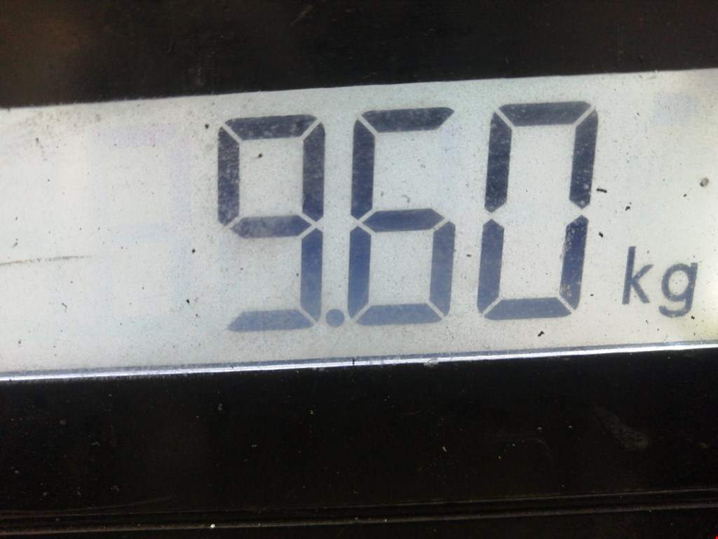 Поддон масляный двигателя OPEL Vectra Vectra C 2002-2008