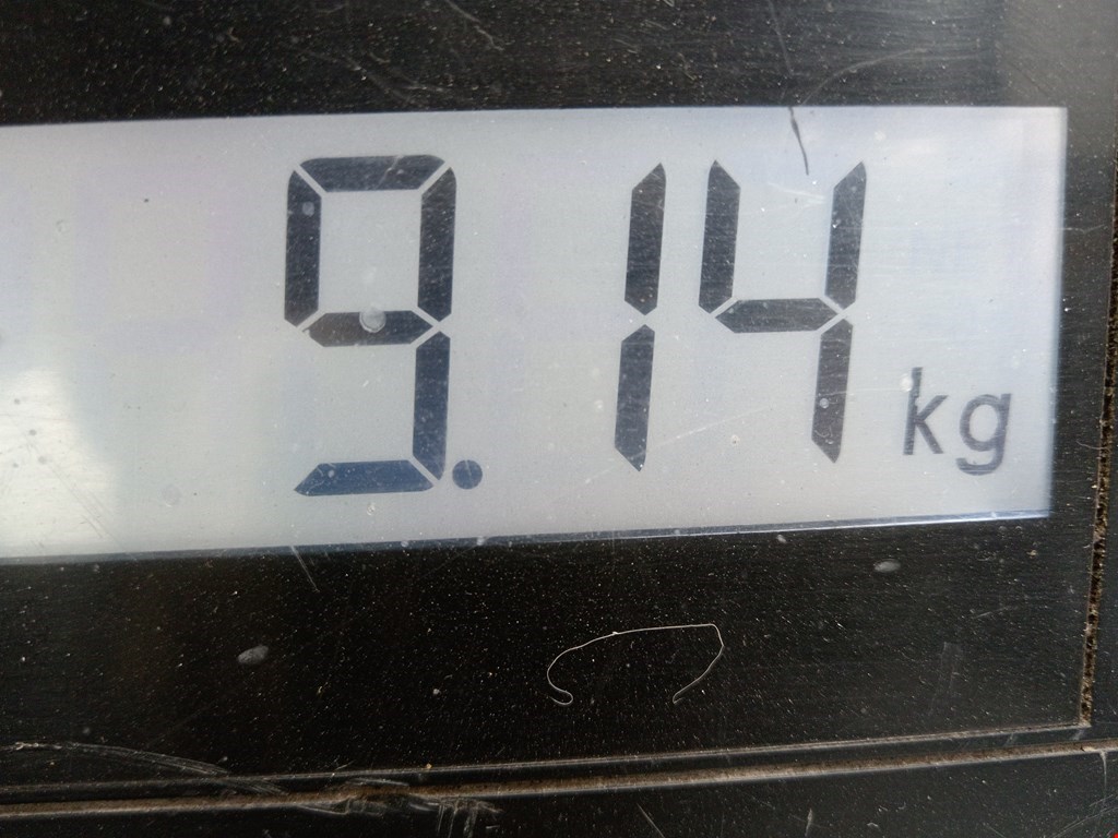 Маховик (демпфер сцепления) RENAULT Modus 2004-2012