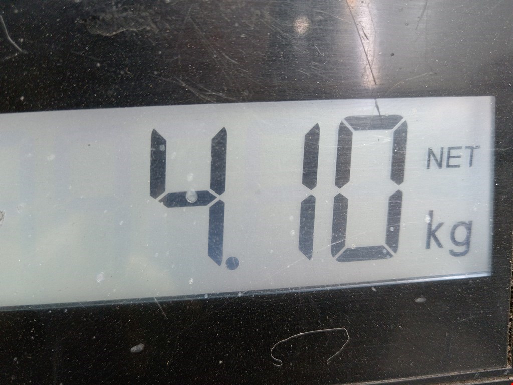 Коллектор выпускной RENAULT Modus 2004-2012