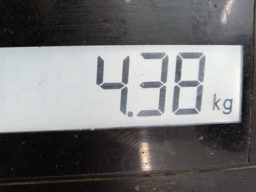 Лонжерон передний левый AUDI A6 C6 2004-2010