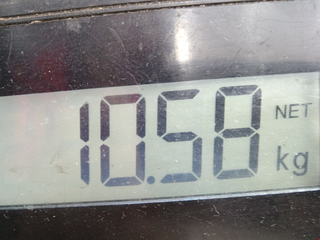 Маховик (демпфер сцепления) FIAT Grande Punto 2005-2009