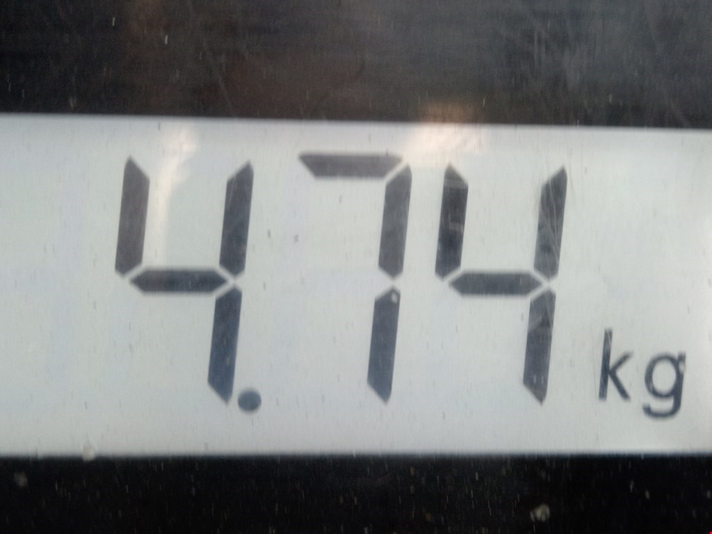 Усилитель переднего бампера (передний) SEAT Arosa 1997-2004