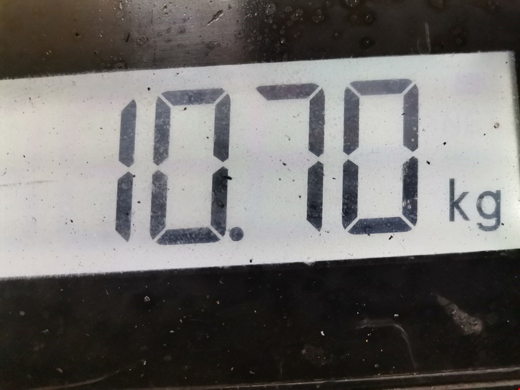 Маховик (демпфер сцепления) FORD Fiesta 2001-2008