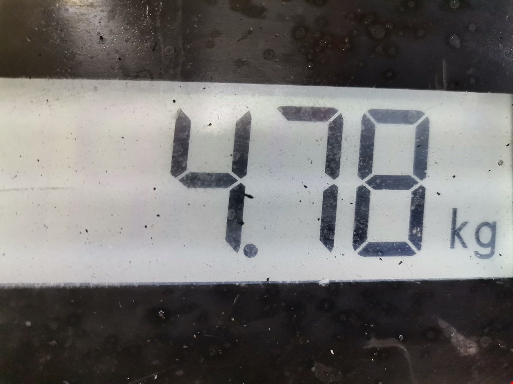 Стабилизатор передний (поперечной устойчивости подвески) AUDI A3 8L 1996-2003