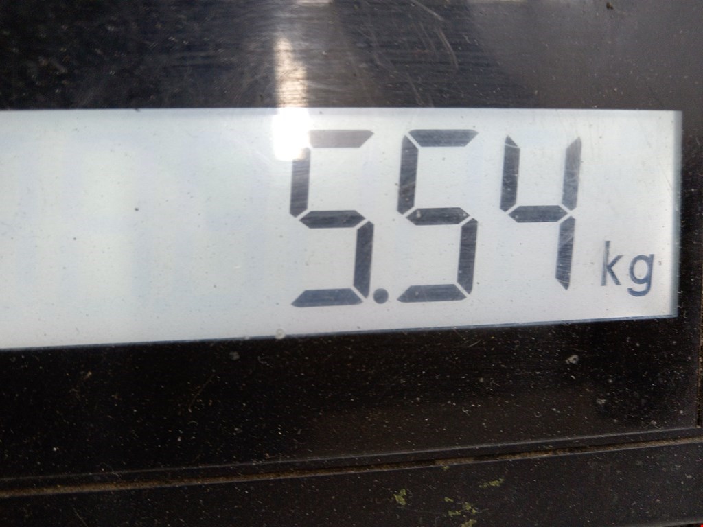 Усилитель переднего бампера (передний) VOLKSWAGEN Golf IV 1997-2003