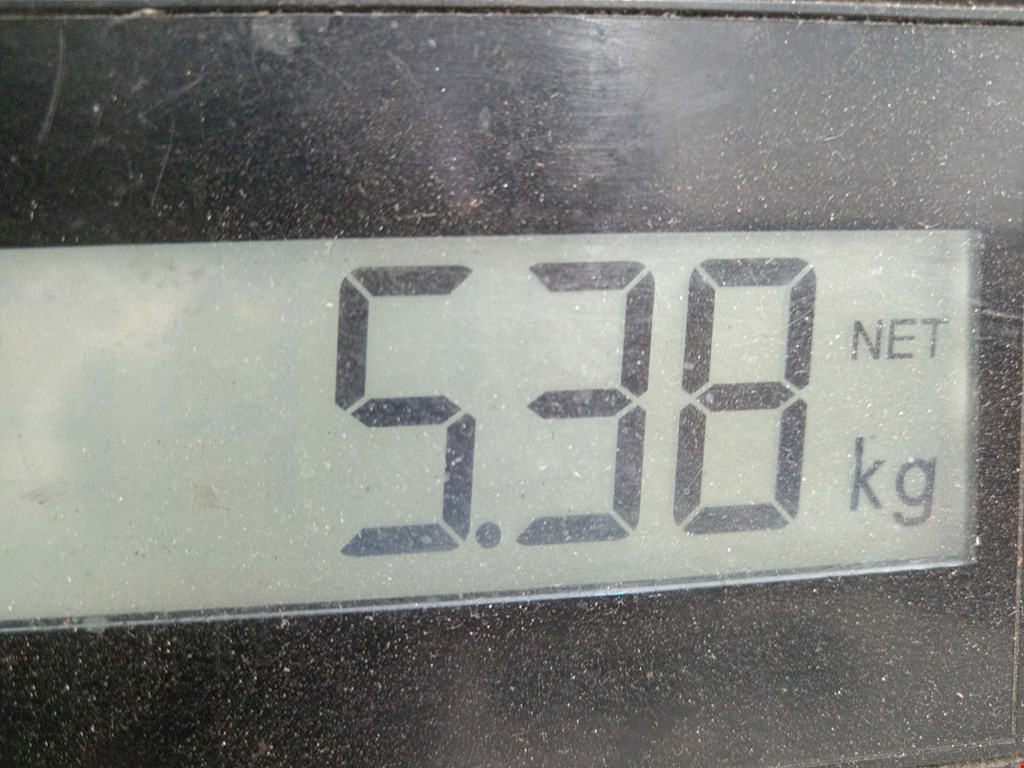 Амортизатор передний правый CITROEN Berlingo 1996-2012