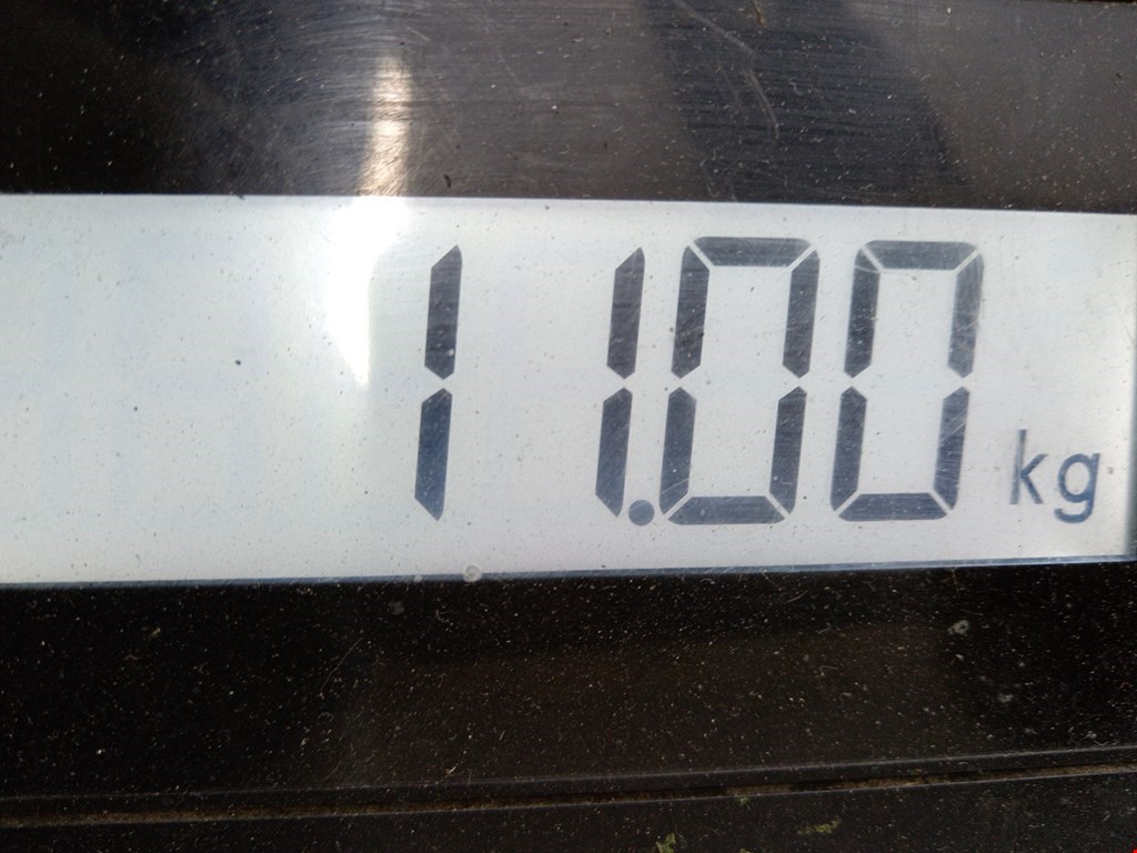 Лонжерон передний левый OPEL Vivaro A 2001-2014