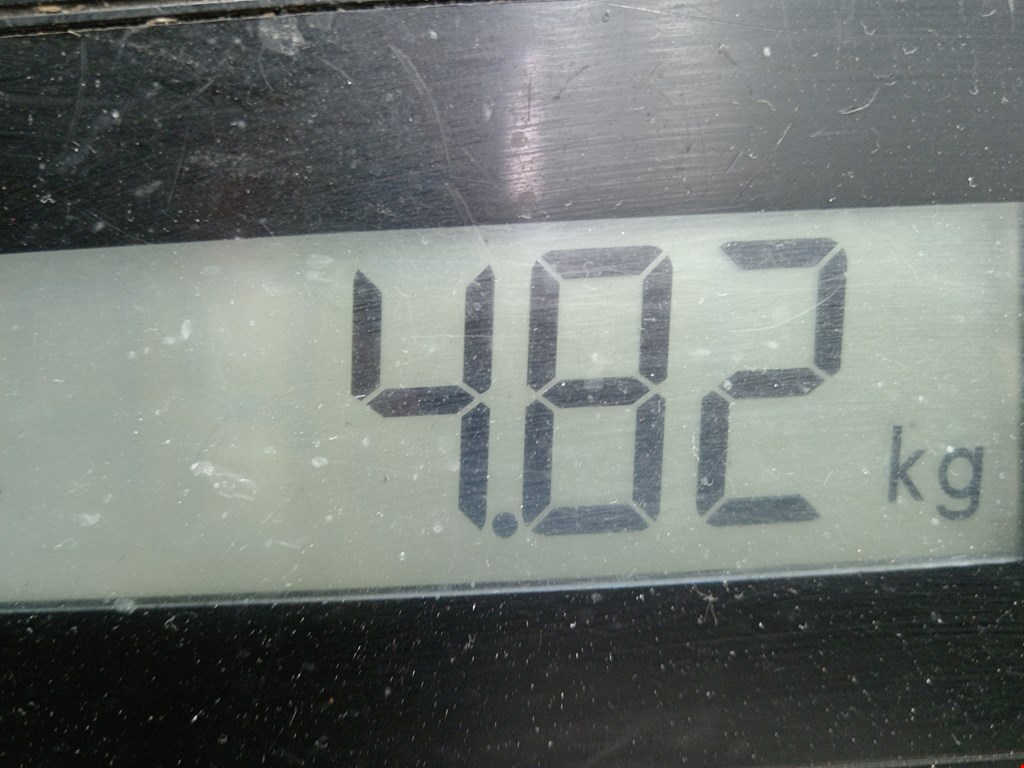 Вентилятор радиатора основного JAGUAR XF X250 2007-2015