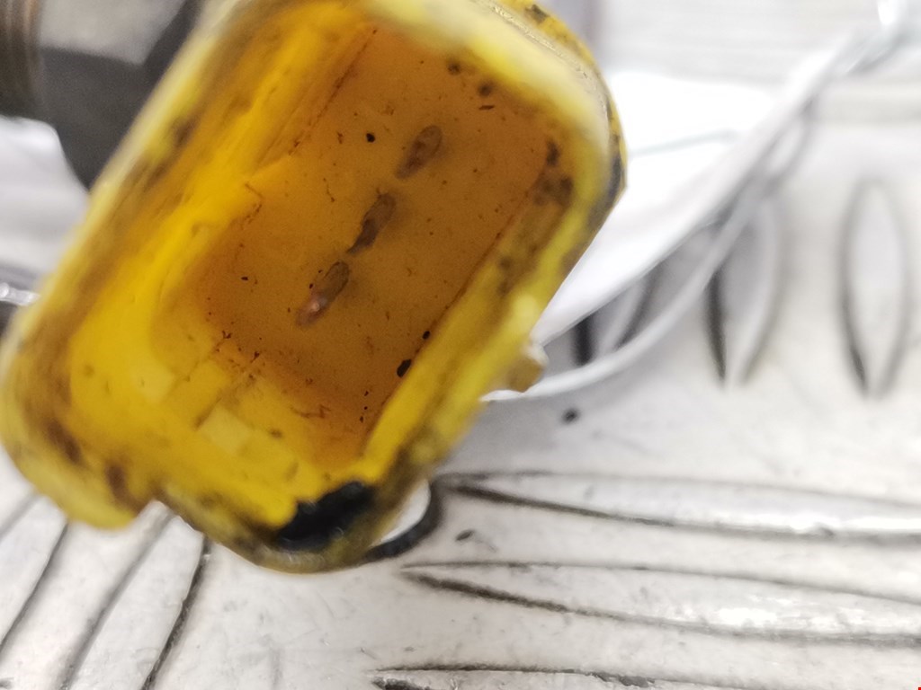 Датчик уровня масла PEUGEOT Expert I 1995-2007