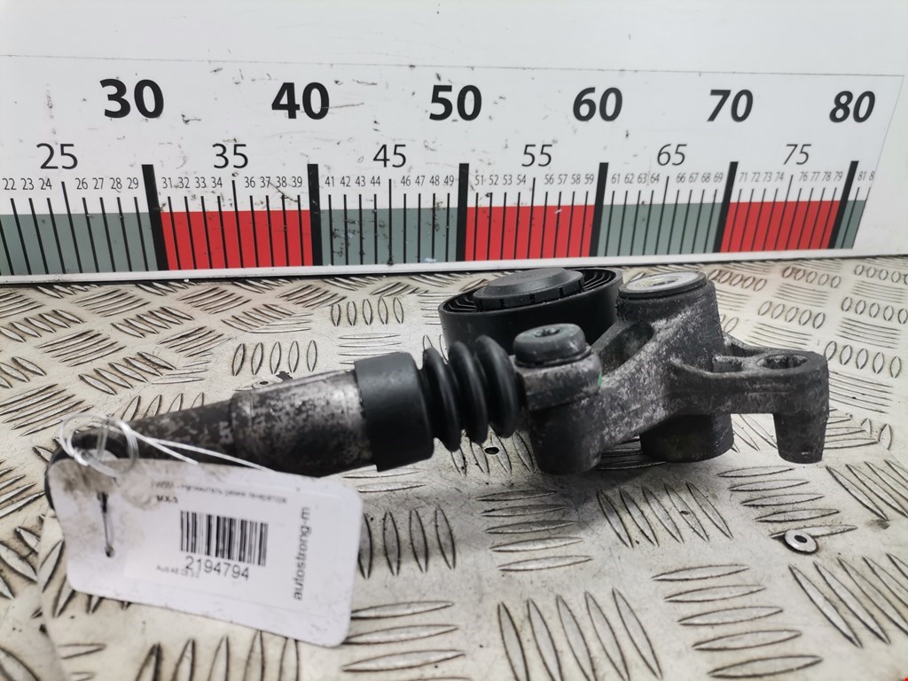 Натяжитель ремня генератора (приводного поликлинового ремня Audi A6 C6 (2004-2011)