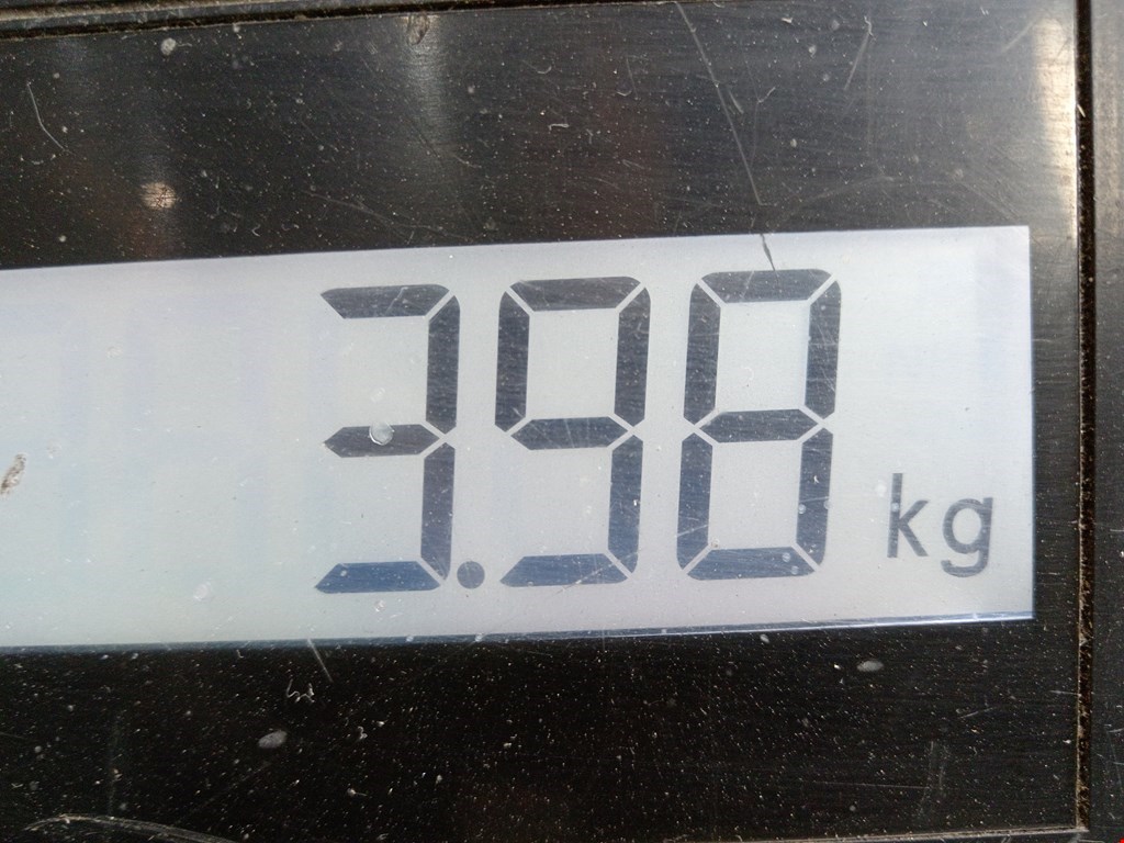 Пружина задняя левая/правая MAZDA Mazda 6 GG 2000-2007