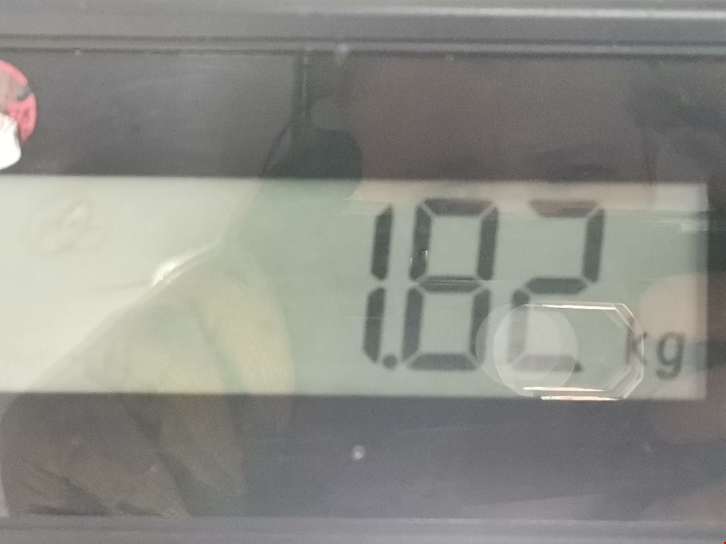 Стеклоподъемник задний правый CHRYSLER PT Cruser 2000-2010