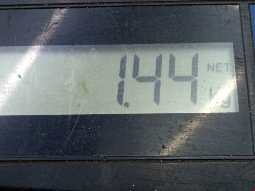 Блок управления двигателя (ЭБУ) MERCEDES-BENZ E-Class W211, S211 2002-2009