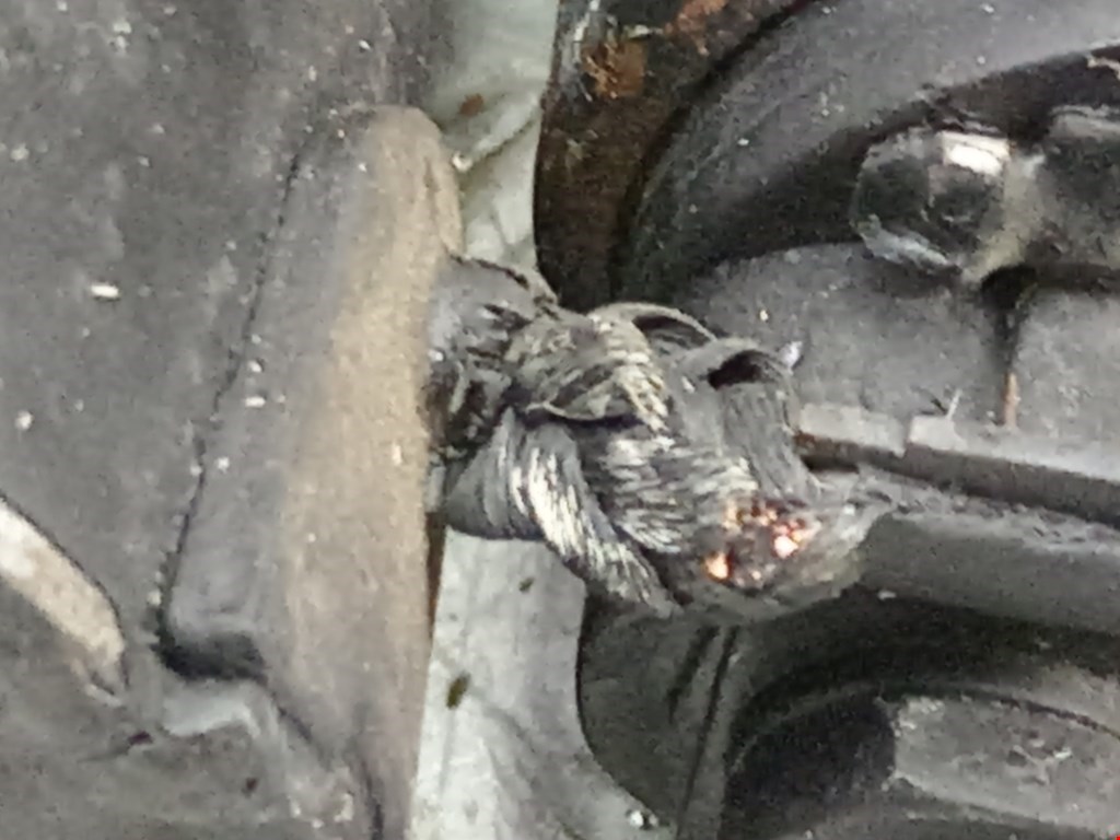 Стартер SEAT Ibiza 1993-2002